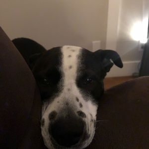 Meet your Posher, Angie